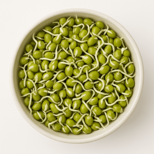 Moonggreen Sprouted